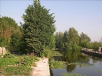 DSCN0869.JPG