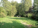 DSCN0873.JPG