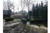 tuin.jpg