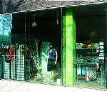 thestore.jpg